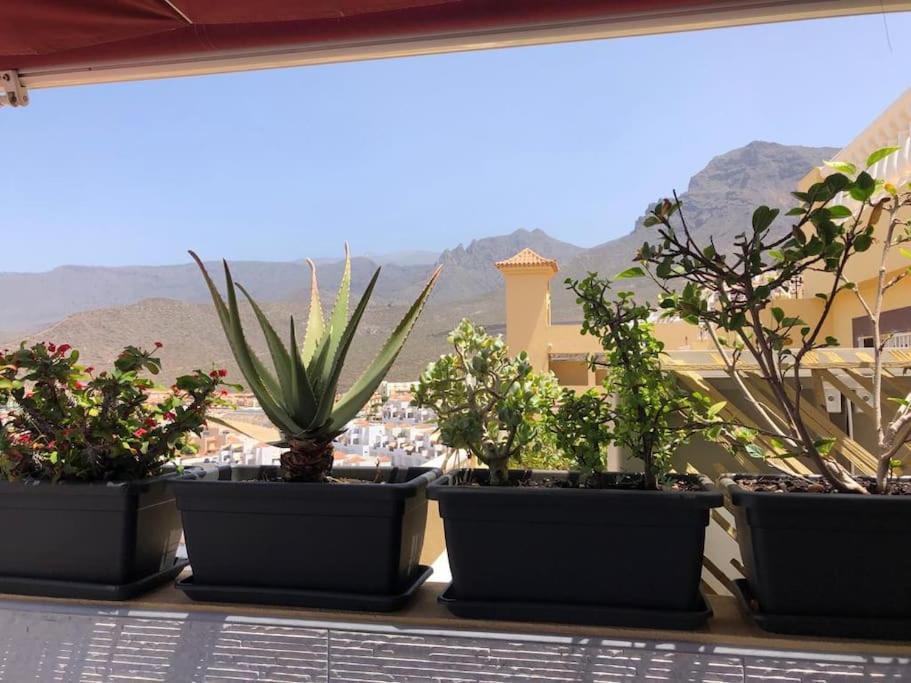 Apartamento Con Impresionantes Vistas Y Piscina Costa Adeje Dış mekan fotoğraf