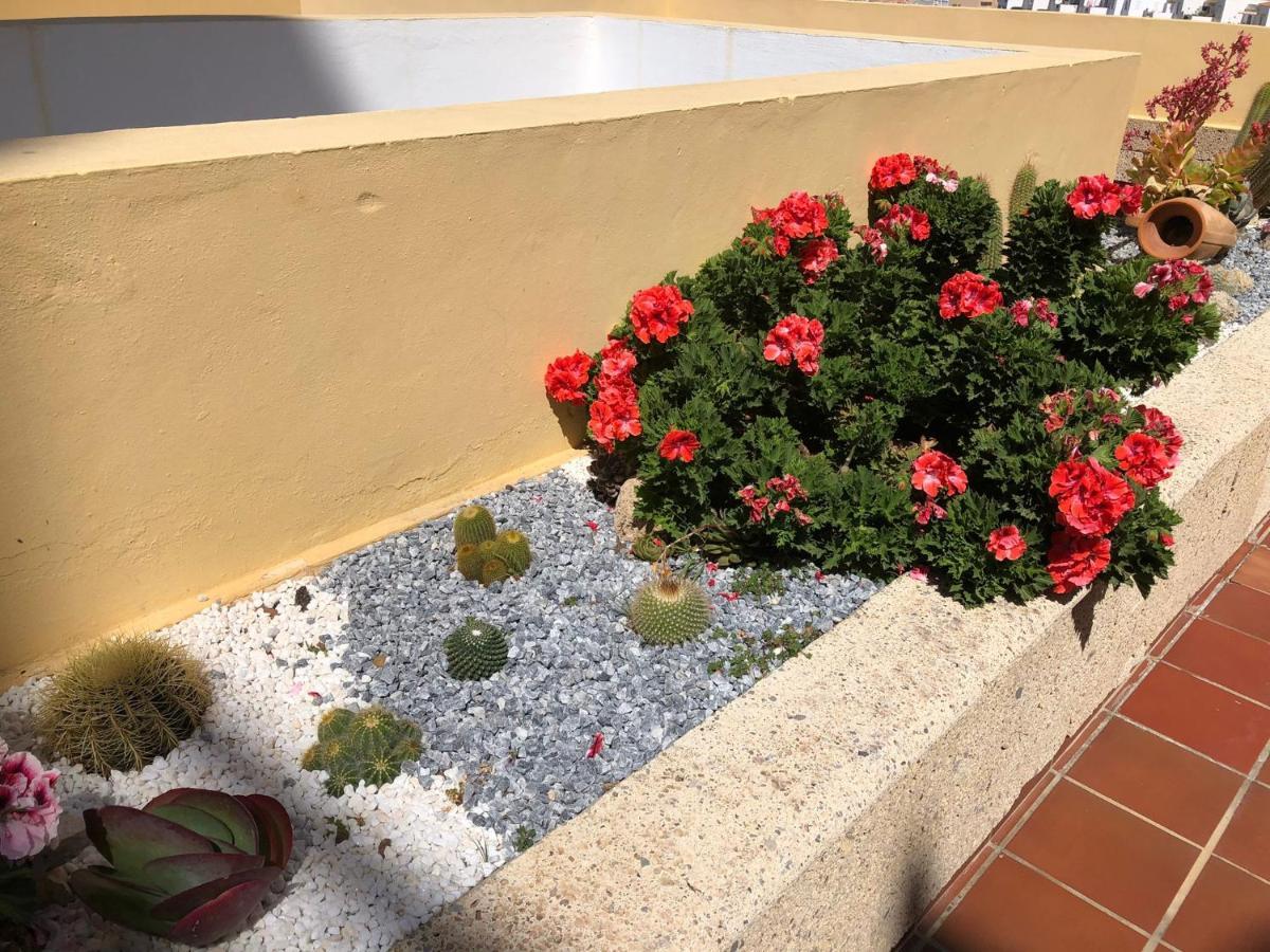 Apartamento Con Impresionantes Vistas Y Piscina Costa Adeje Dış mekan fotoğraf