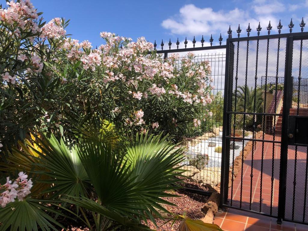 Apartamento Con Impresionantes Vistas Y Piscina Costa Adeje Dış mekan fotoğraf